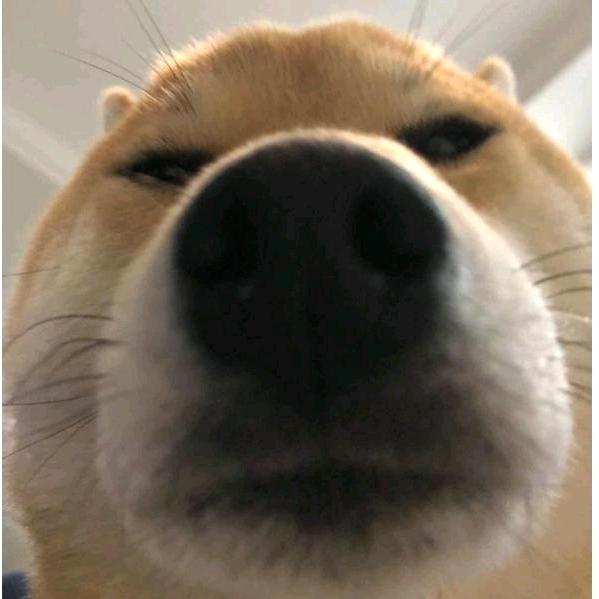 半碗酱