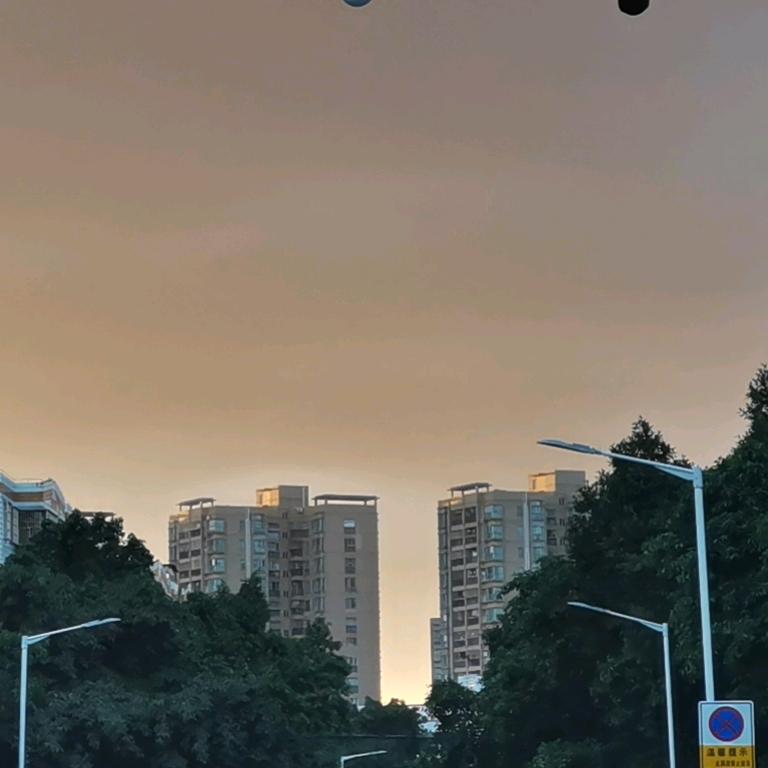 小将来