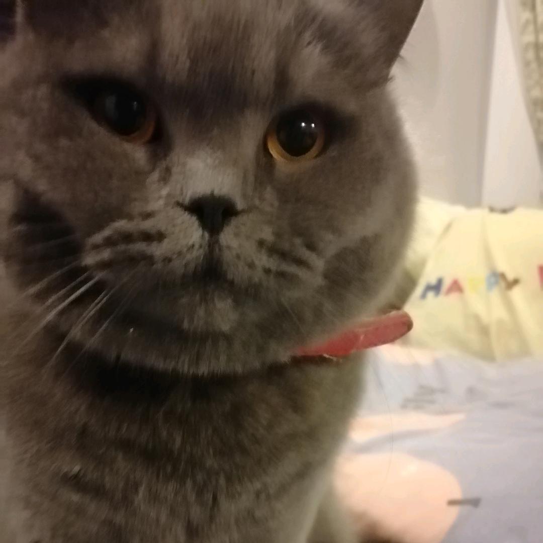 用户2297521641483