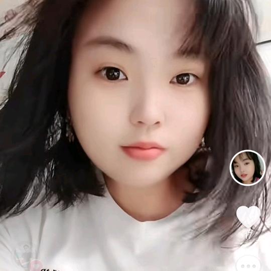 小燕子