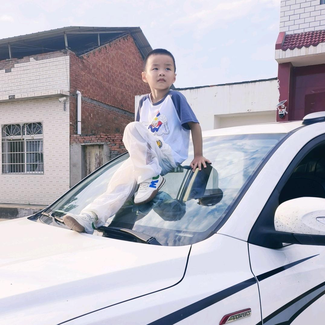 总有刁民想害朕了