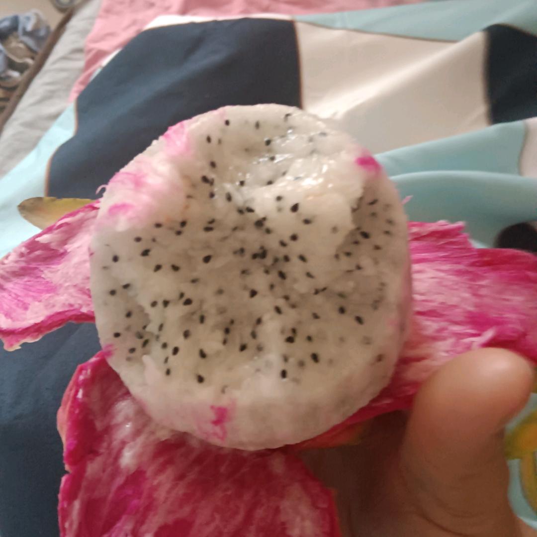 黑龙