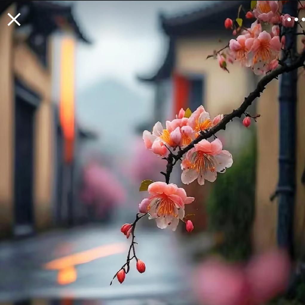 向前看zhang
