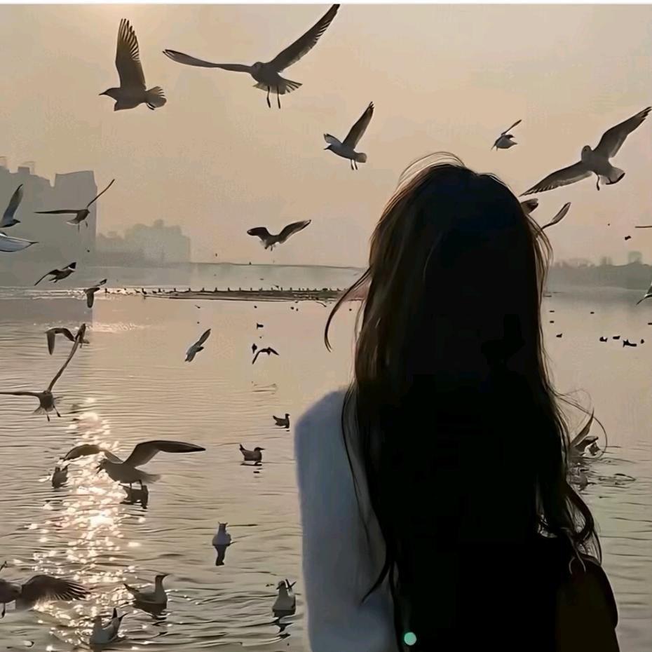 ও🕊ꦿꦼ心与归零꧔ꦿ࿐้