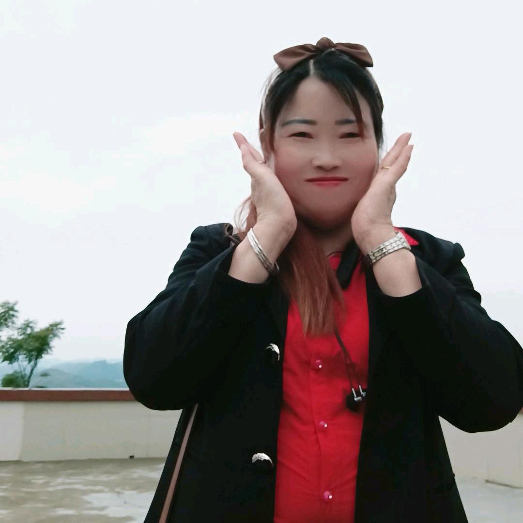 无家可归小花猫张艳