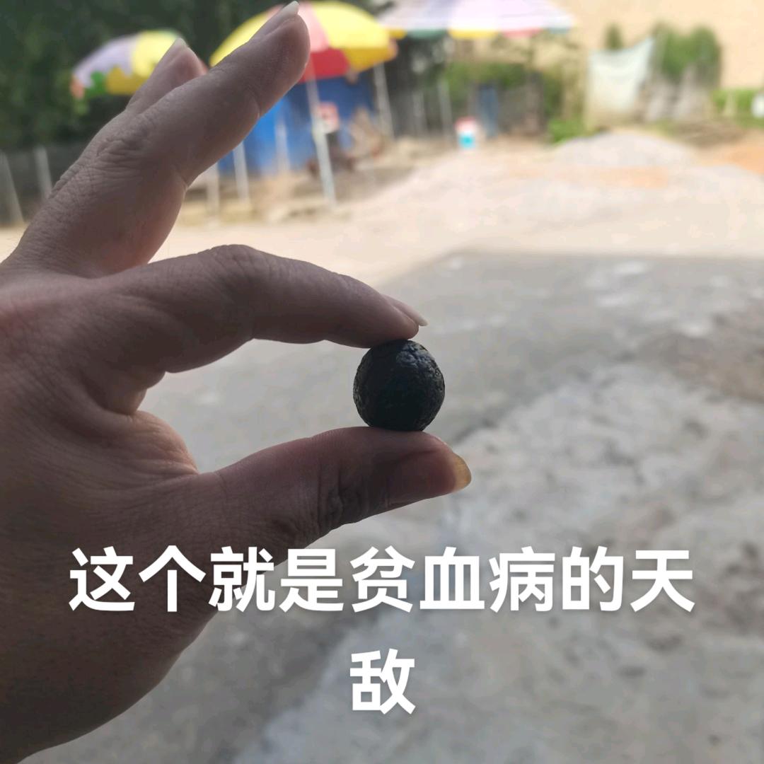 贫血病的天敌