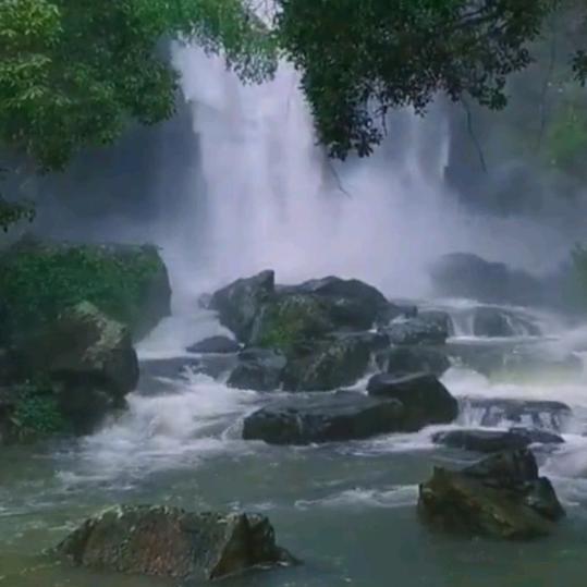 ヰ唇齒間的溫柔⊙