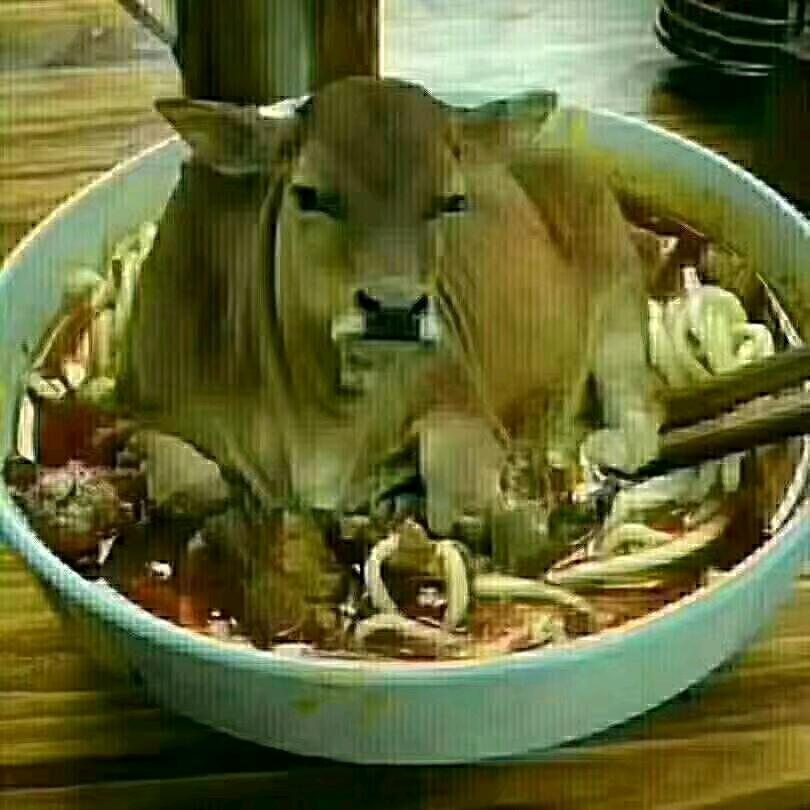 夜狼人