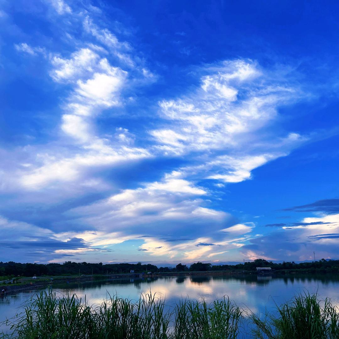 广州花都蓝田钓鱼场