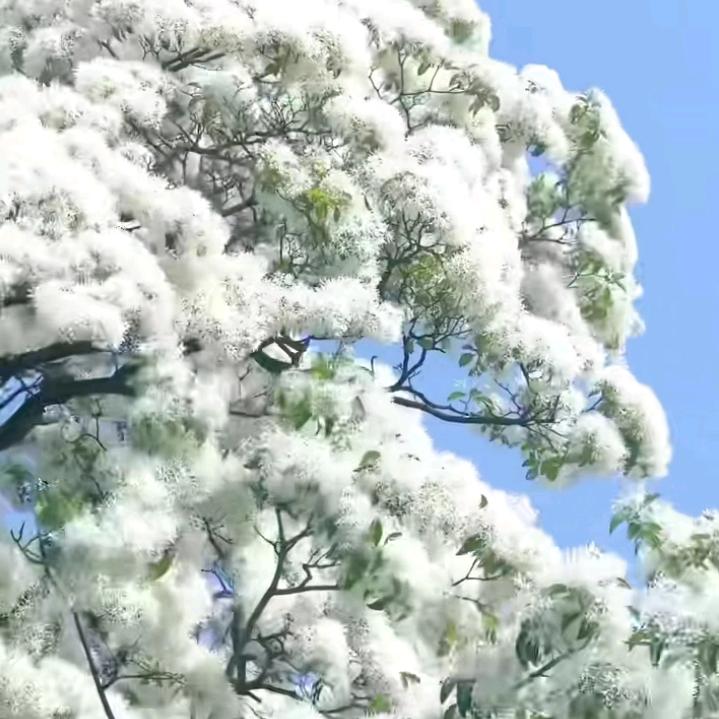 静观世界