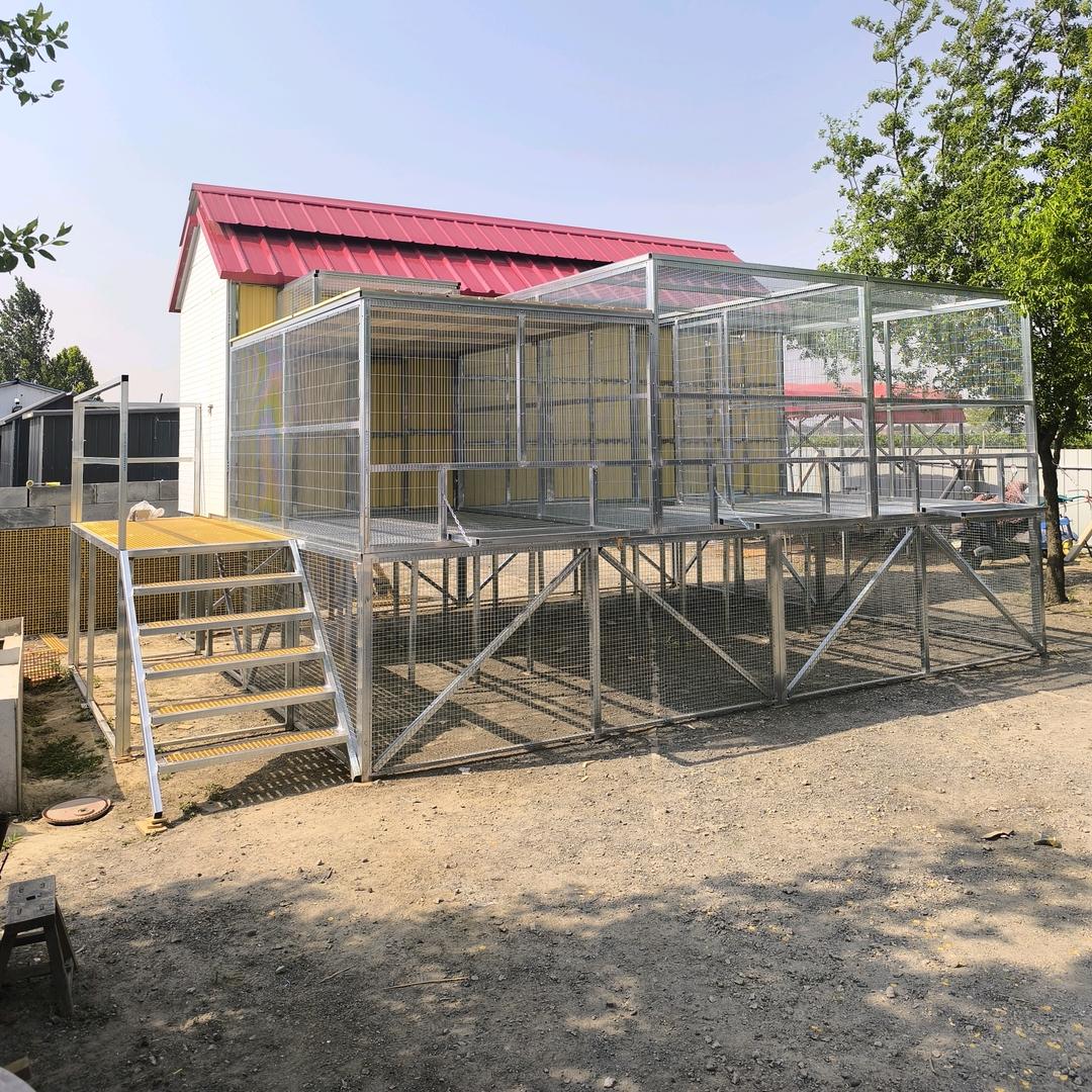 佳佳拼装鸽舍制作与设计鸽之家