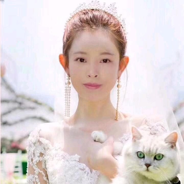 回忆没人疼