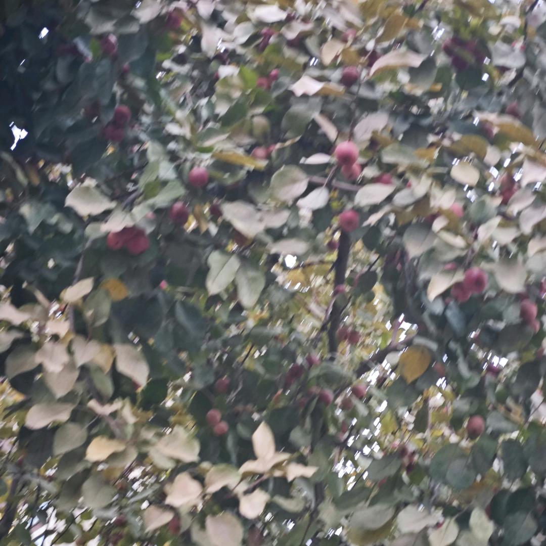 励志人生3C7