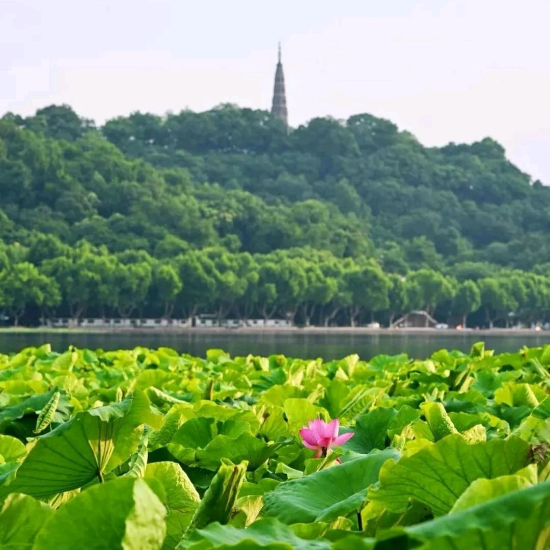 湖山塘村