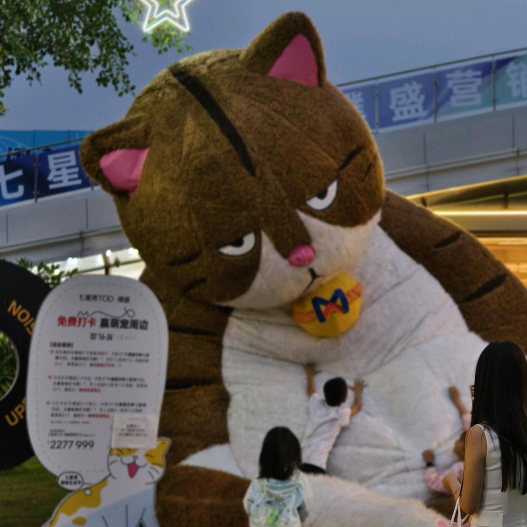 大猫看越剧