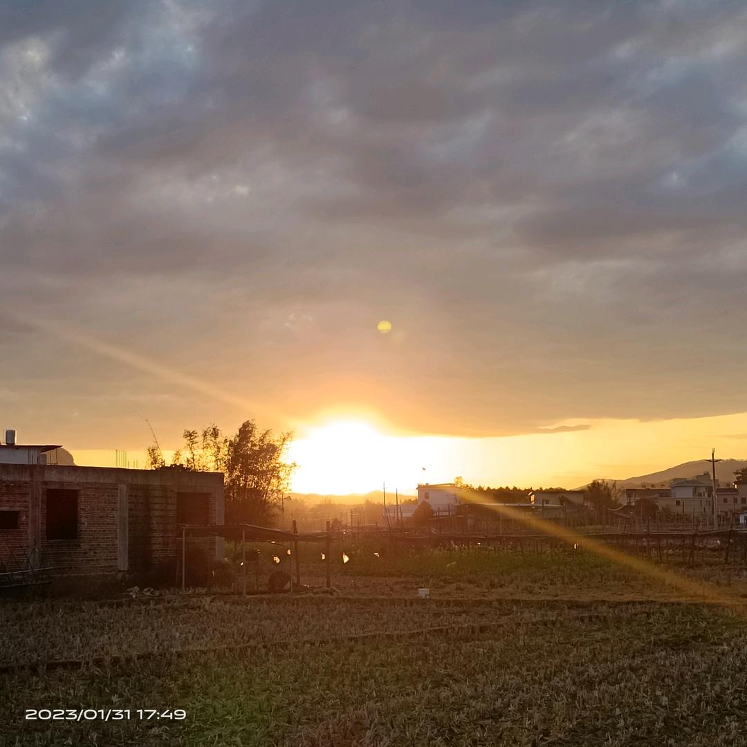 YLG🍊老许🇨🇳