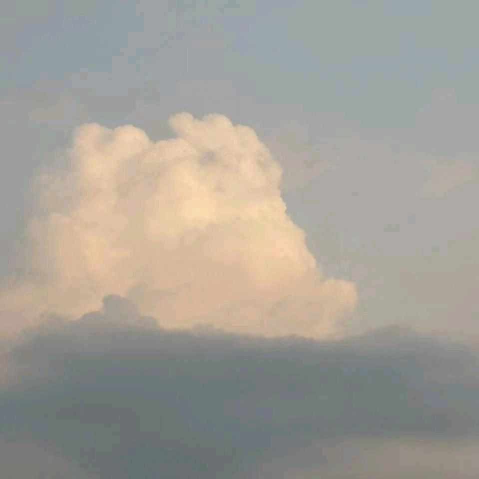 万万没想到优选