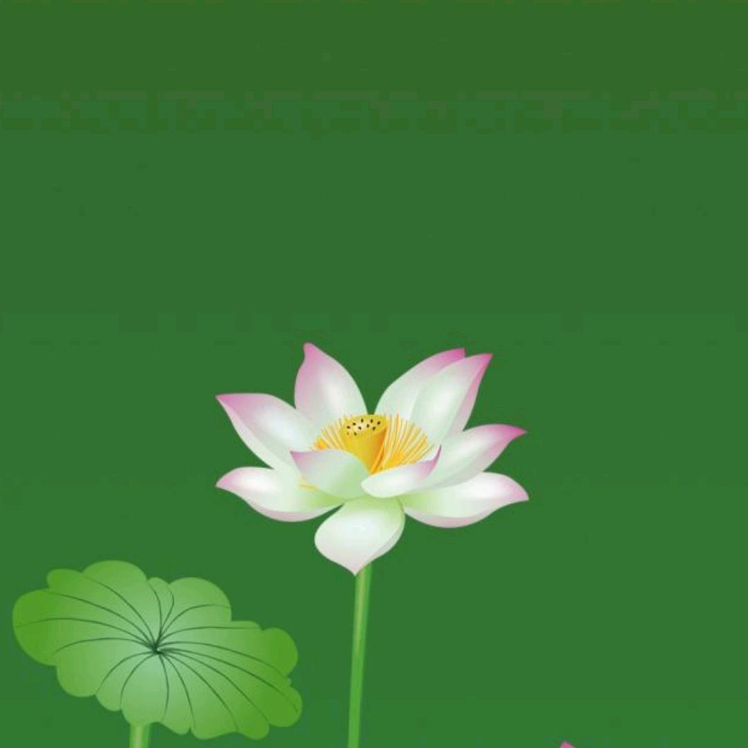 纳爱斯本地生活推荐过官（寿光随缘）