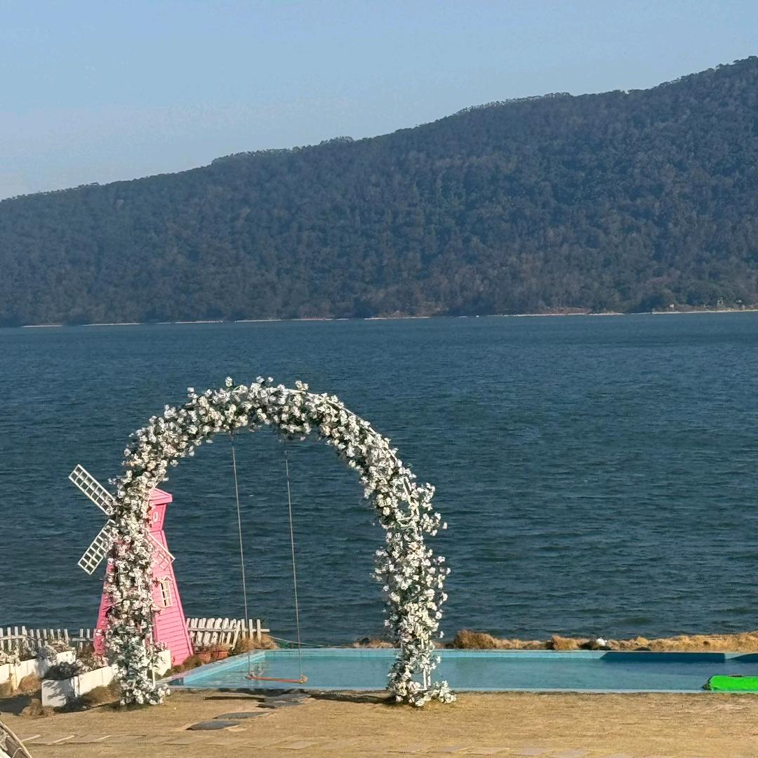 小小土豆