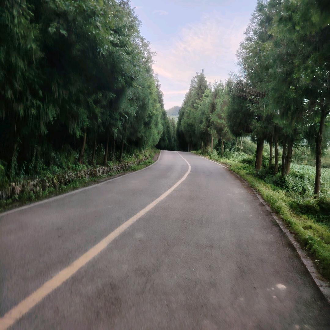 红苹果