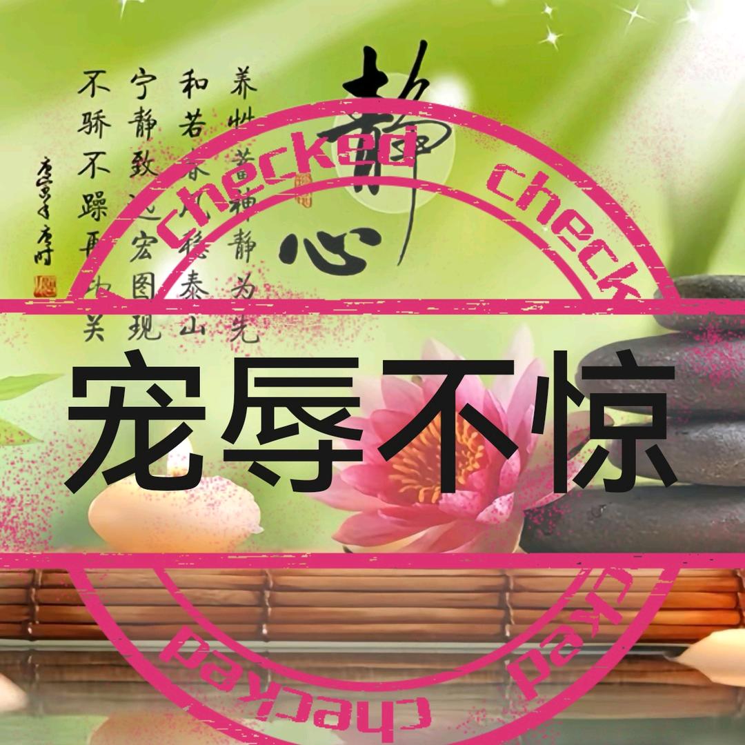 宠辱不惊