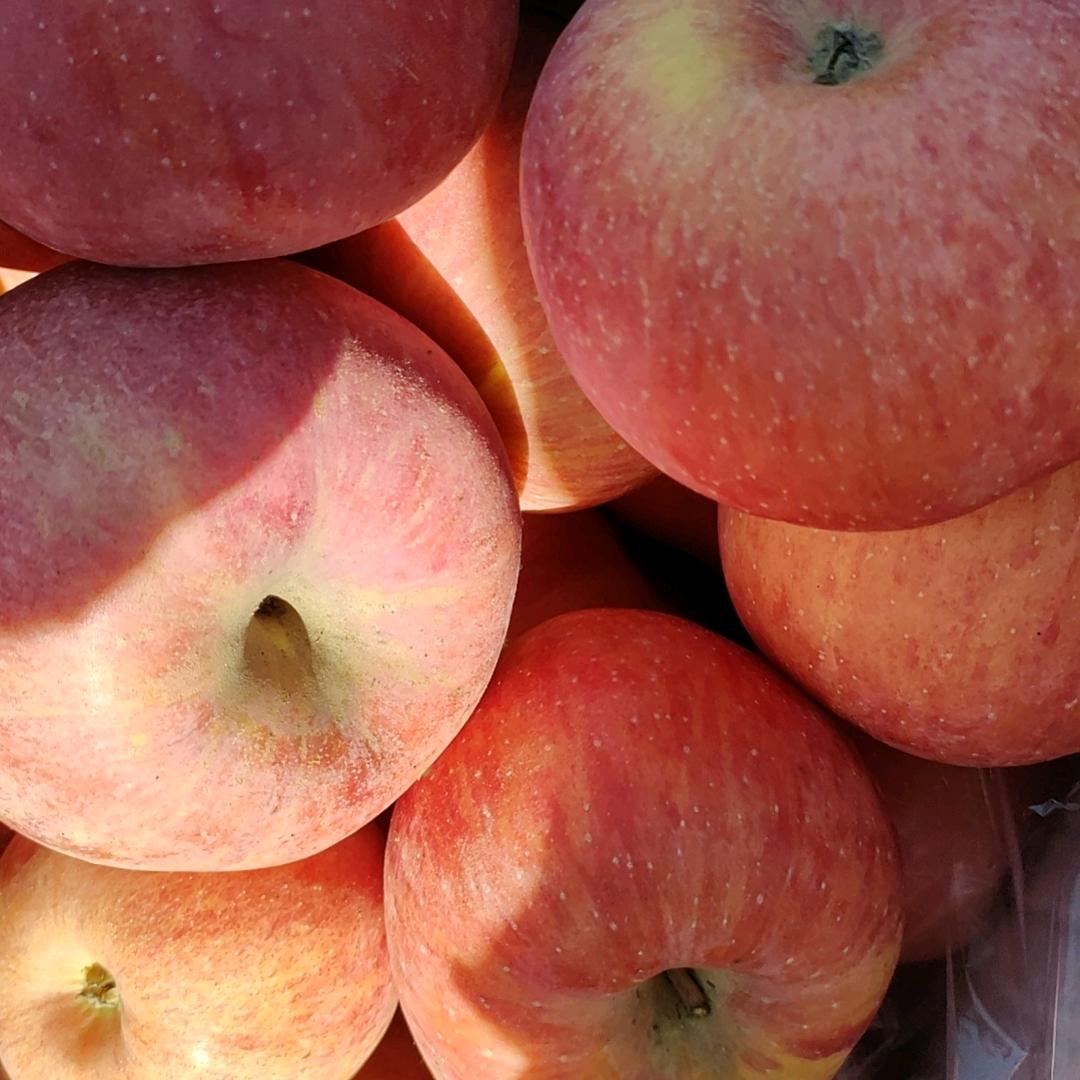 隰县玉露香梨代办刘对生