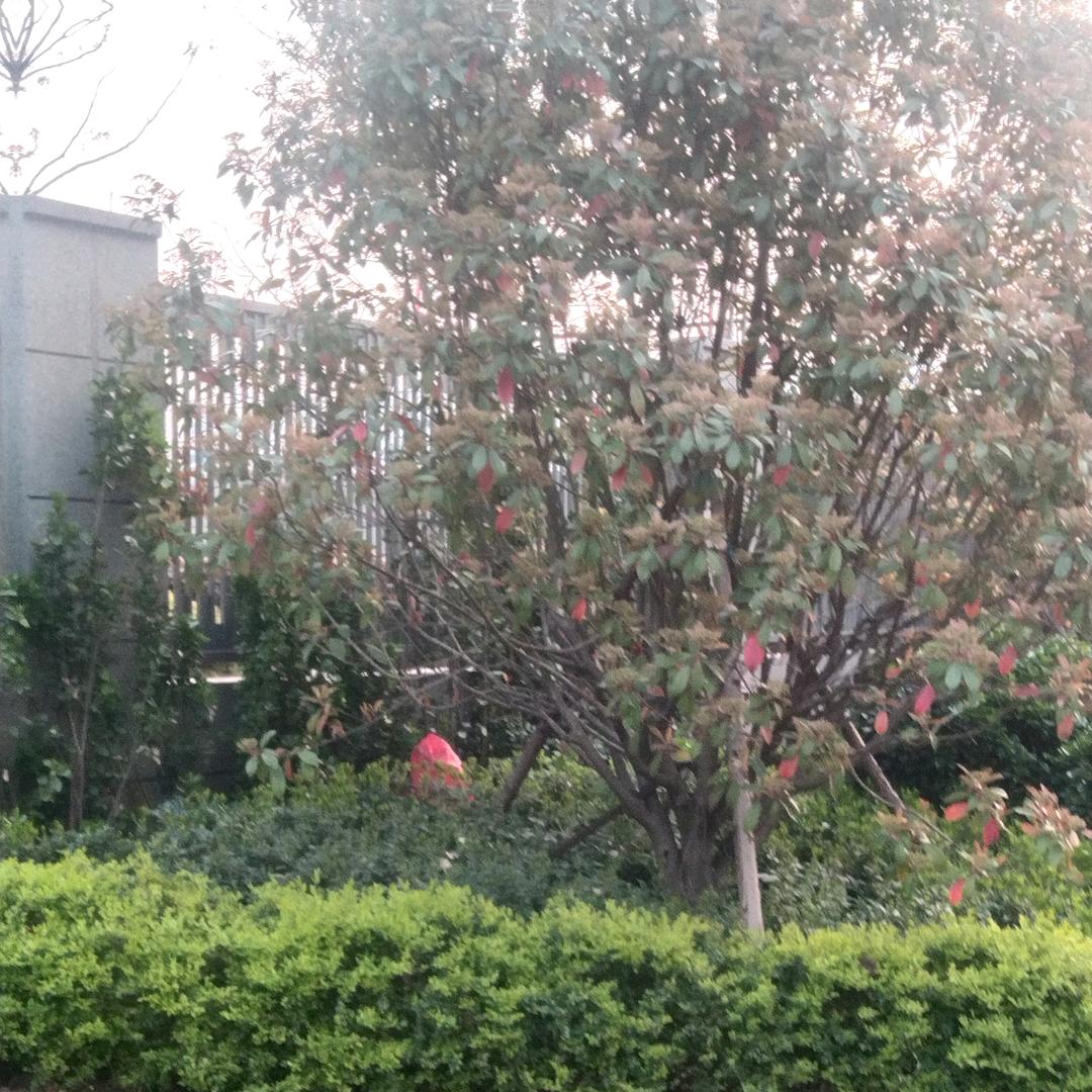 用户55423987866651899