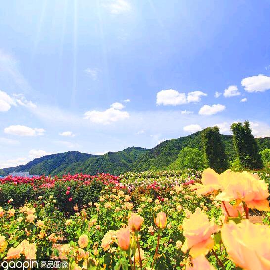 小芳