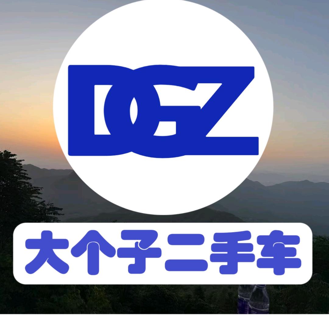 六安东子（大个子二手车）