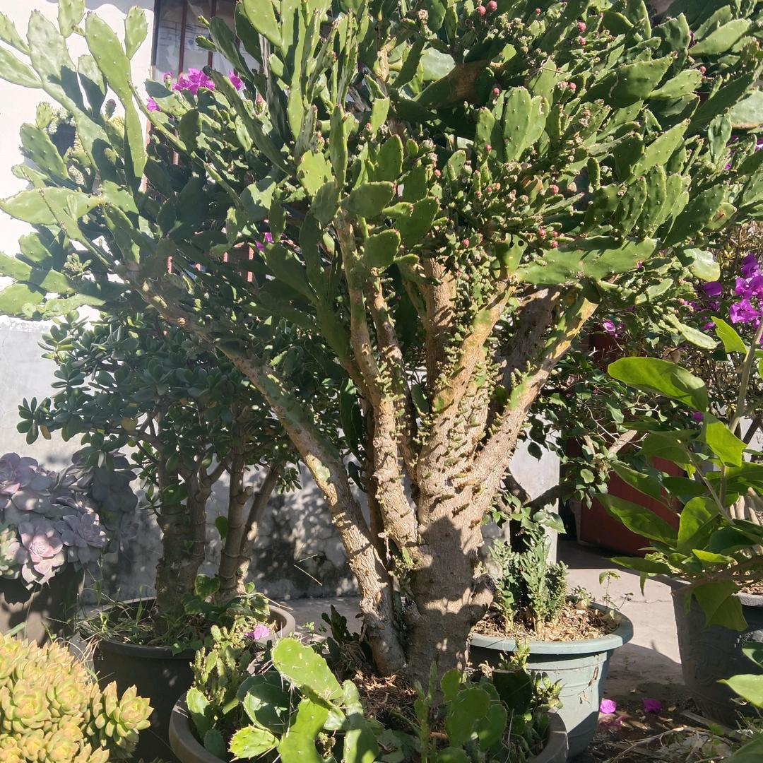 许下承诺来爱我