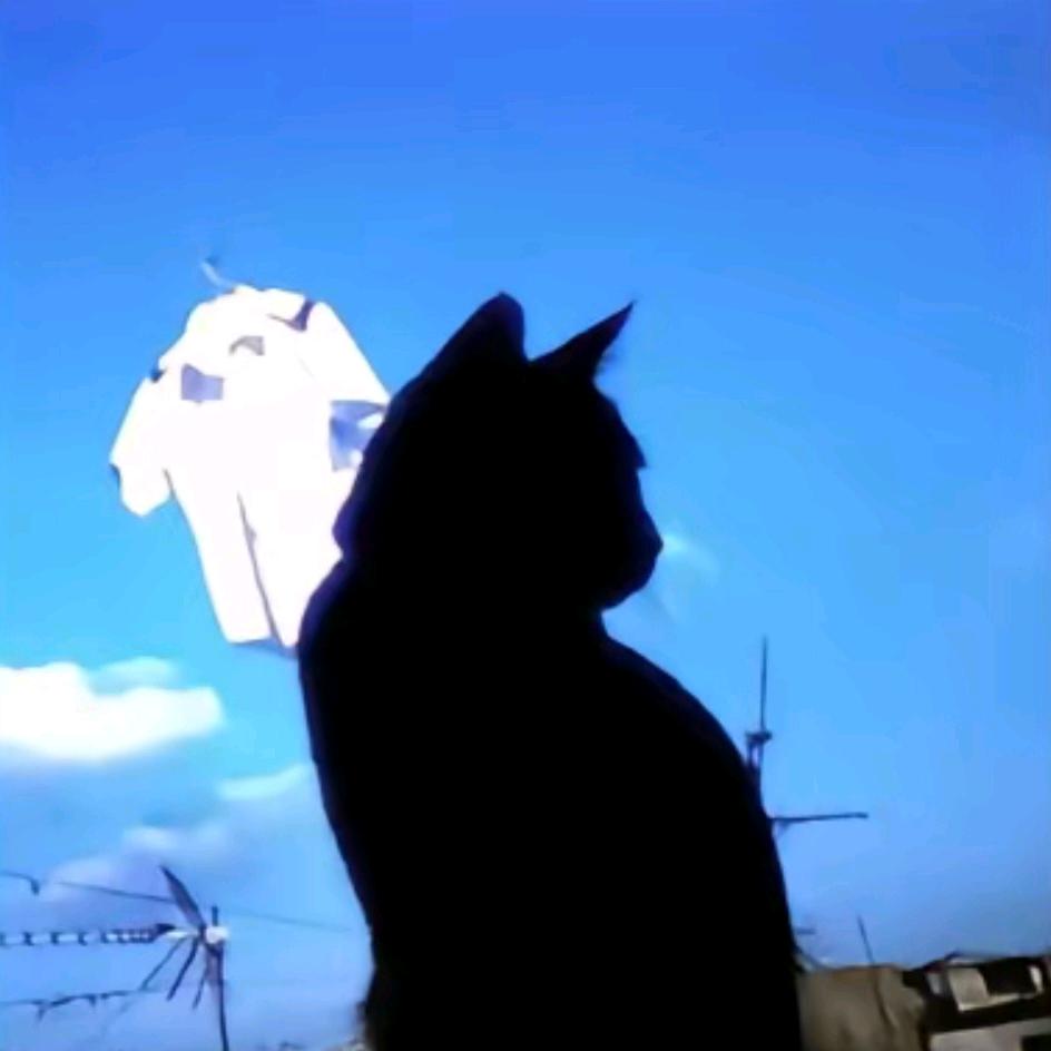 随心