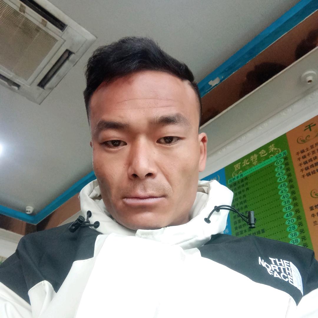 我是一只受伤的羊