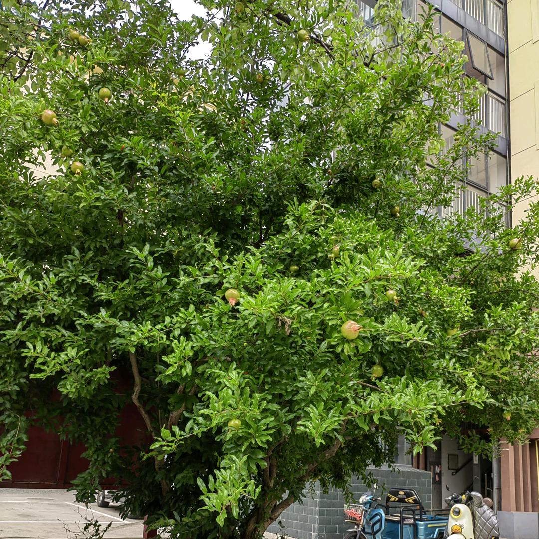 感恩遇见所有人，祝所有人健康平安快乐。