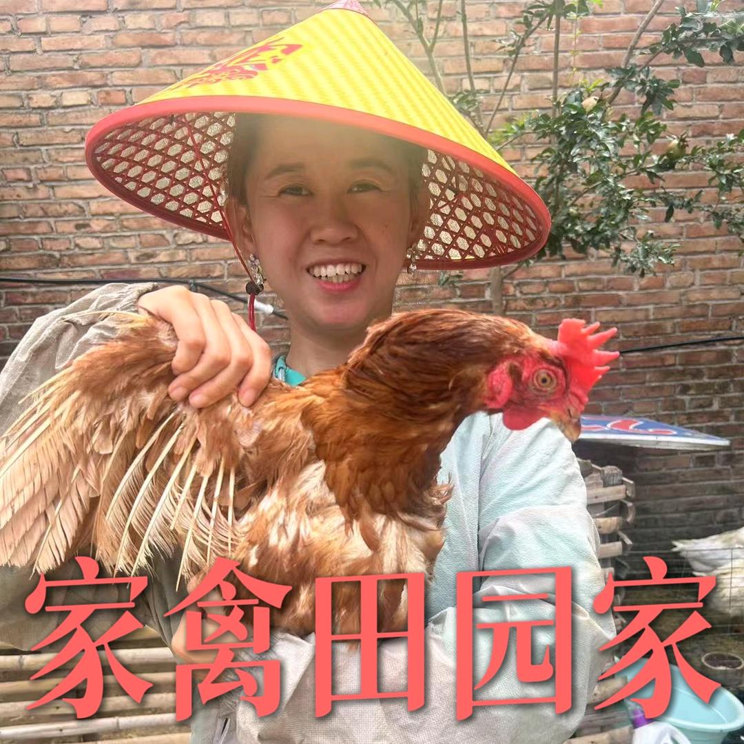 墨礼专营店