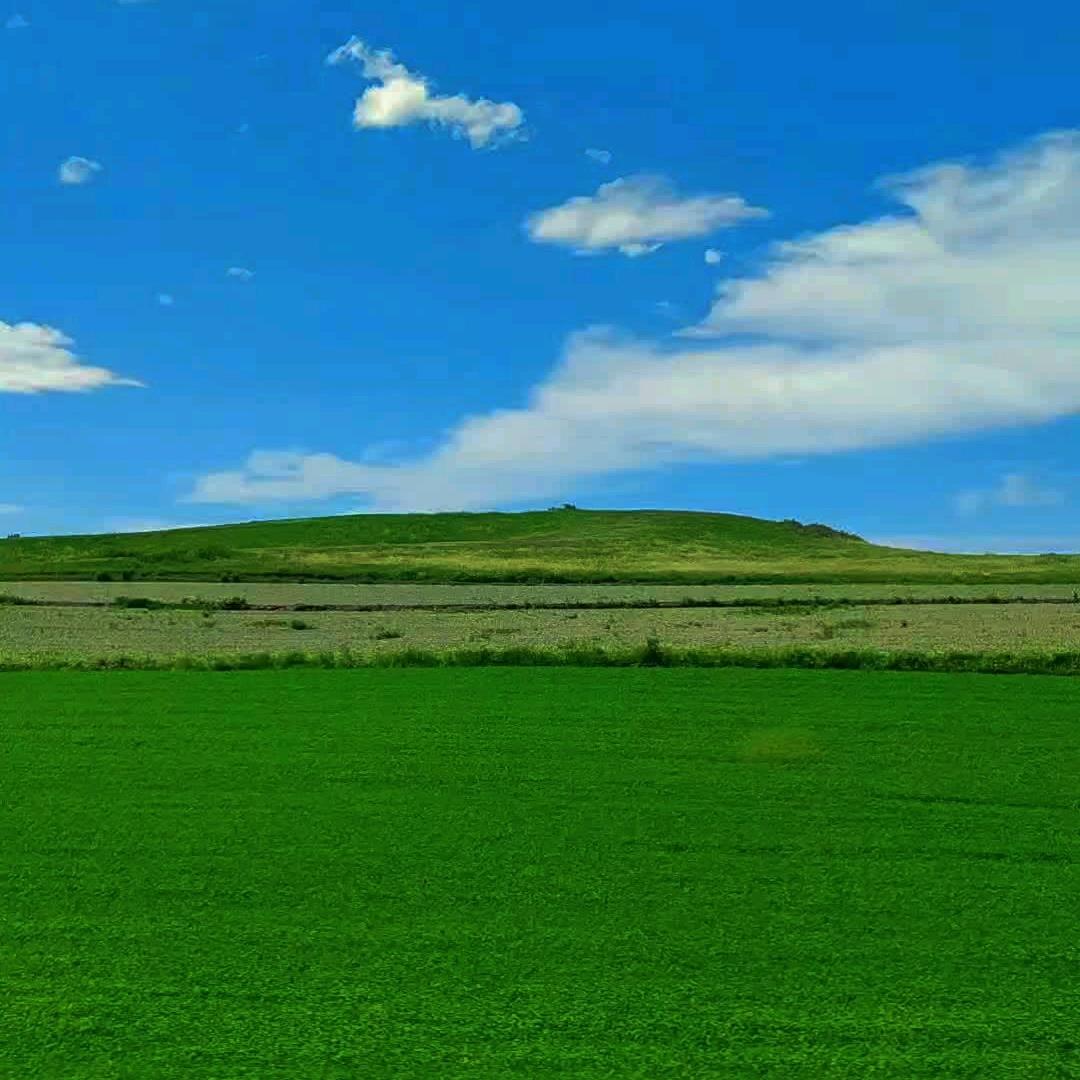 栗鹿