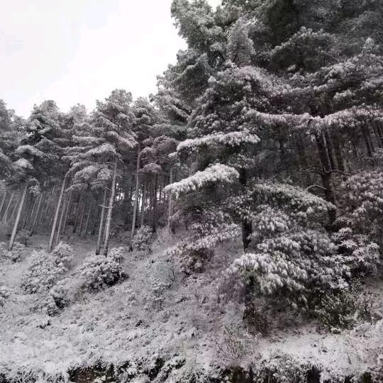 幺妹，