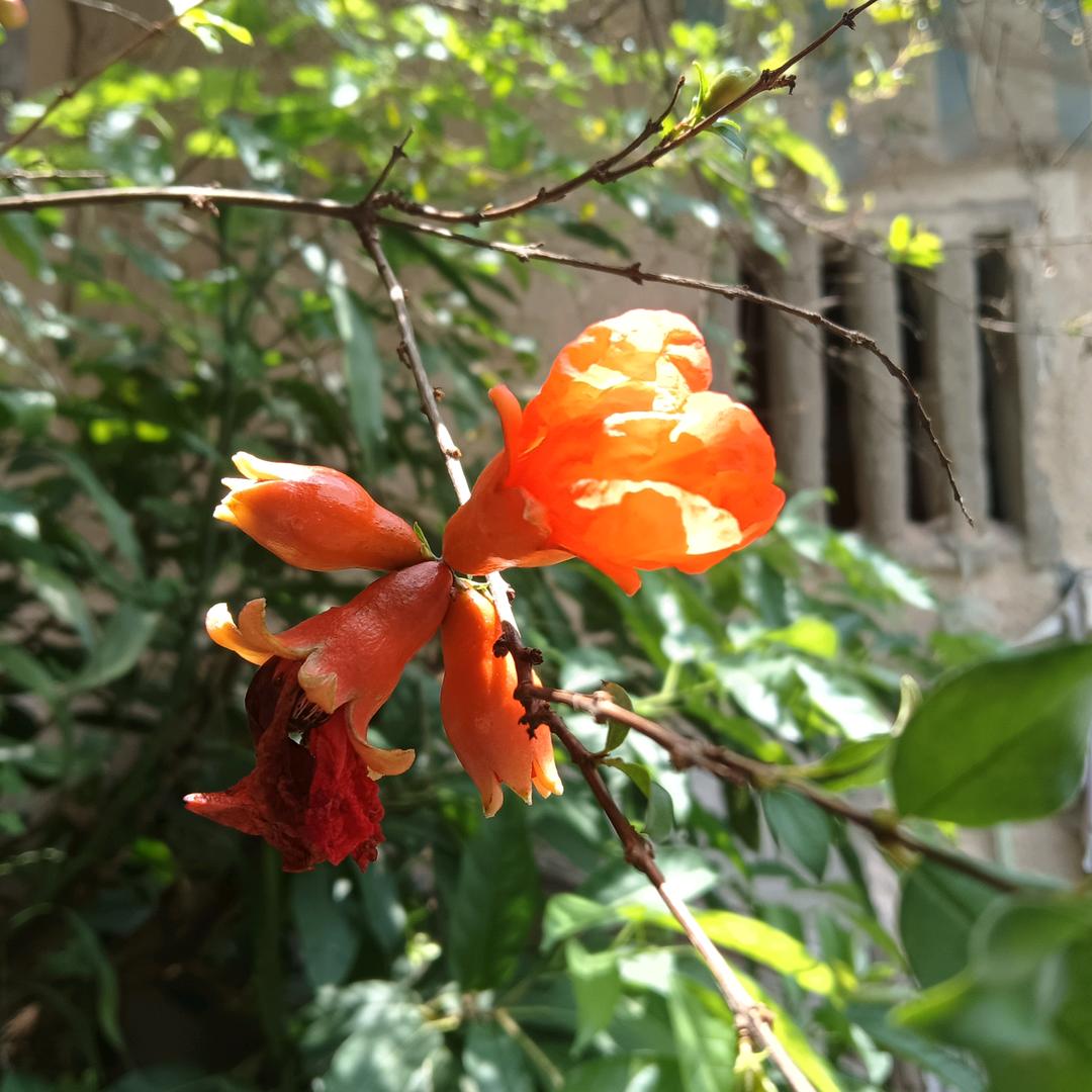 小想