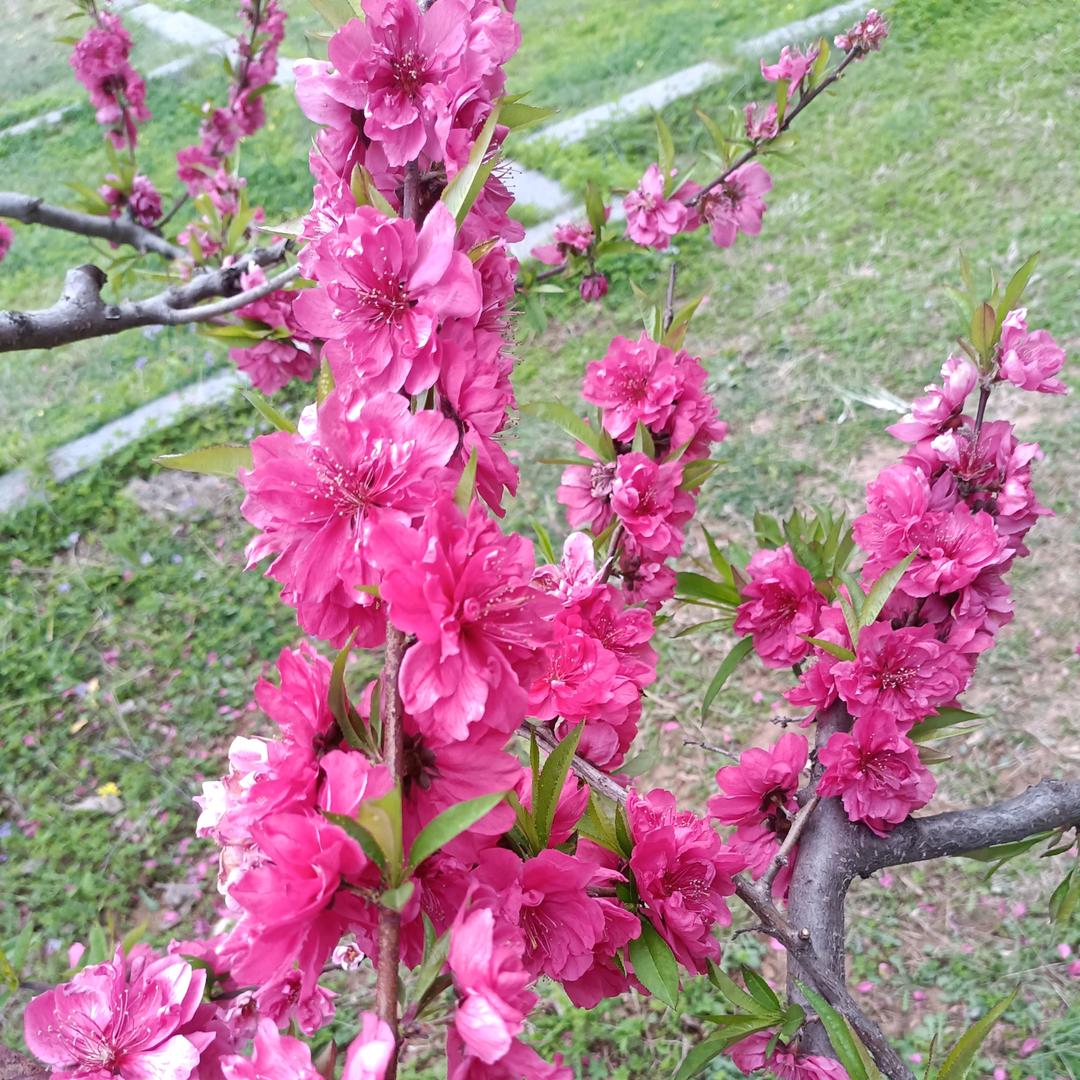 Xia人生别无选择💪🏽💪