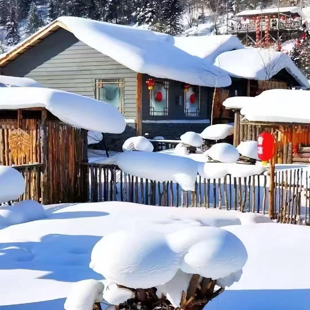 鼎鼎汽车旅游服务