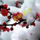 爱融慕雪