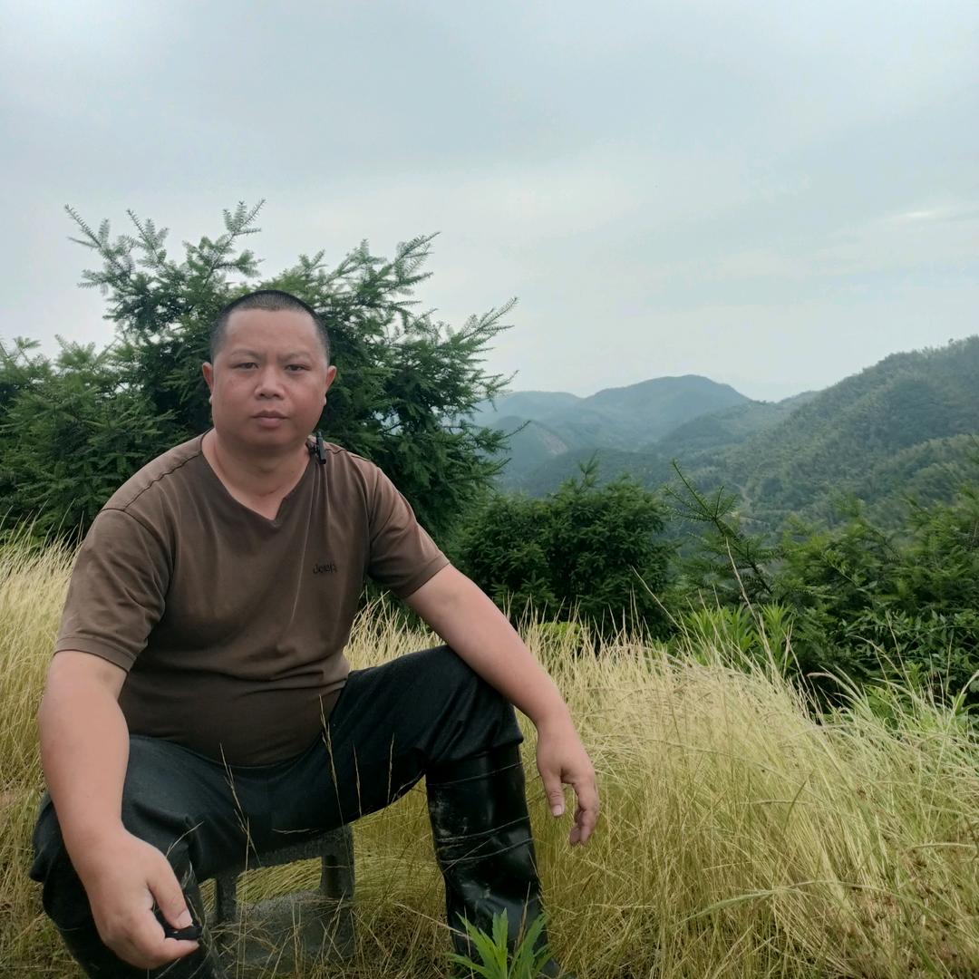 越农萃  香榧小马哥