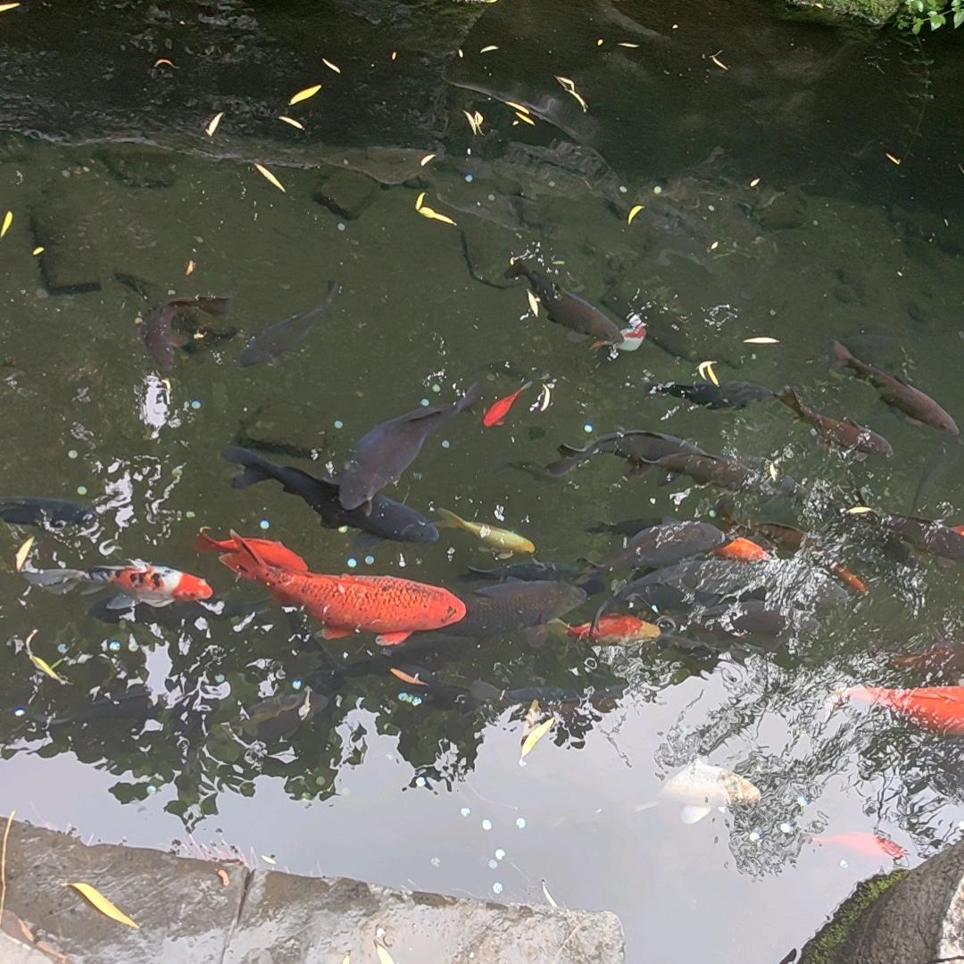 知足常乐$$