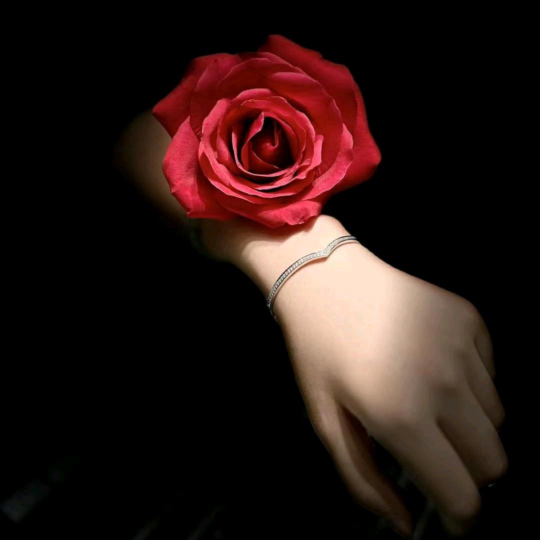 你如暖阳ι 你如初夏ι🥰🥰