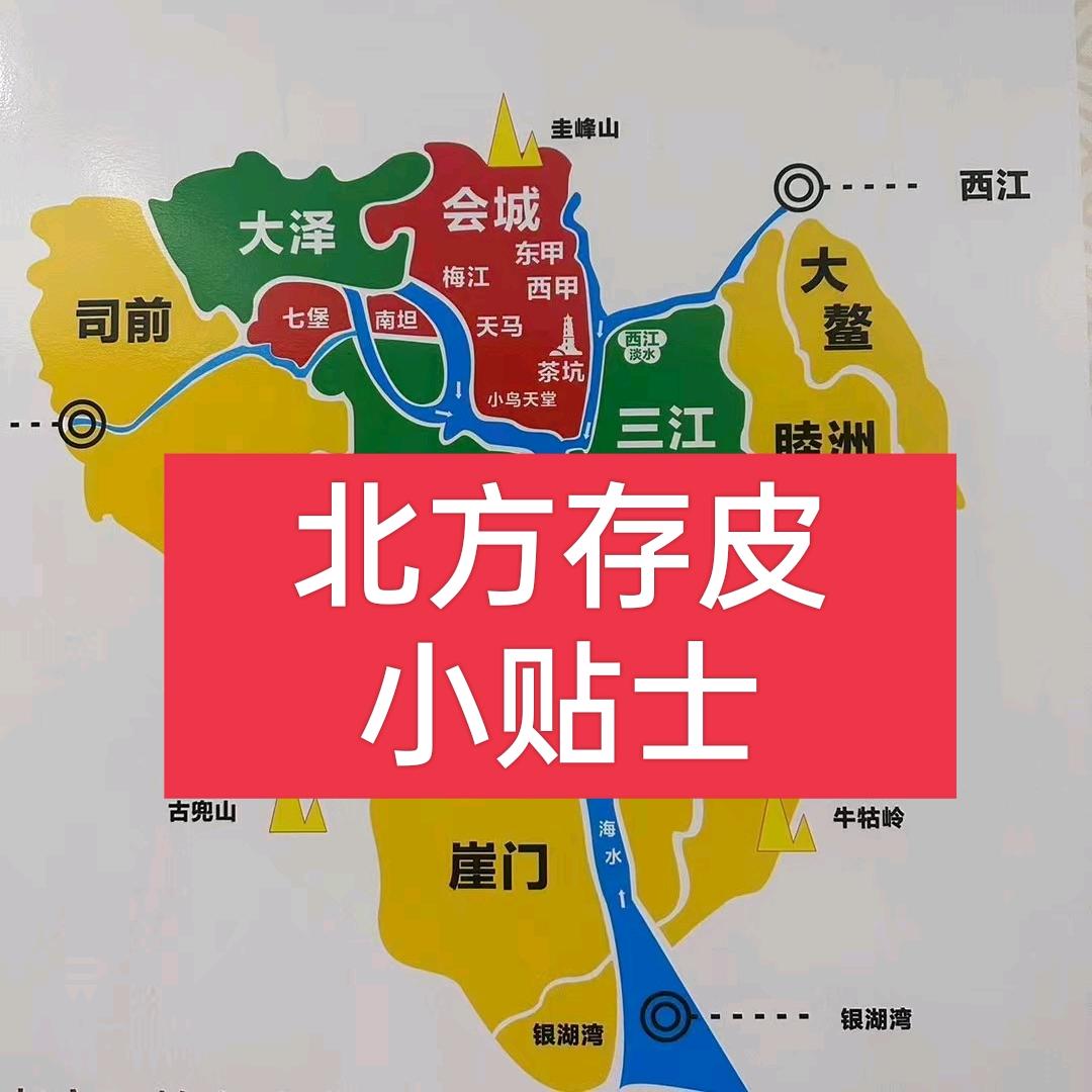 北方存陈皮(7号回新会摘大红)