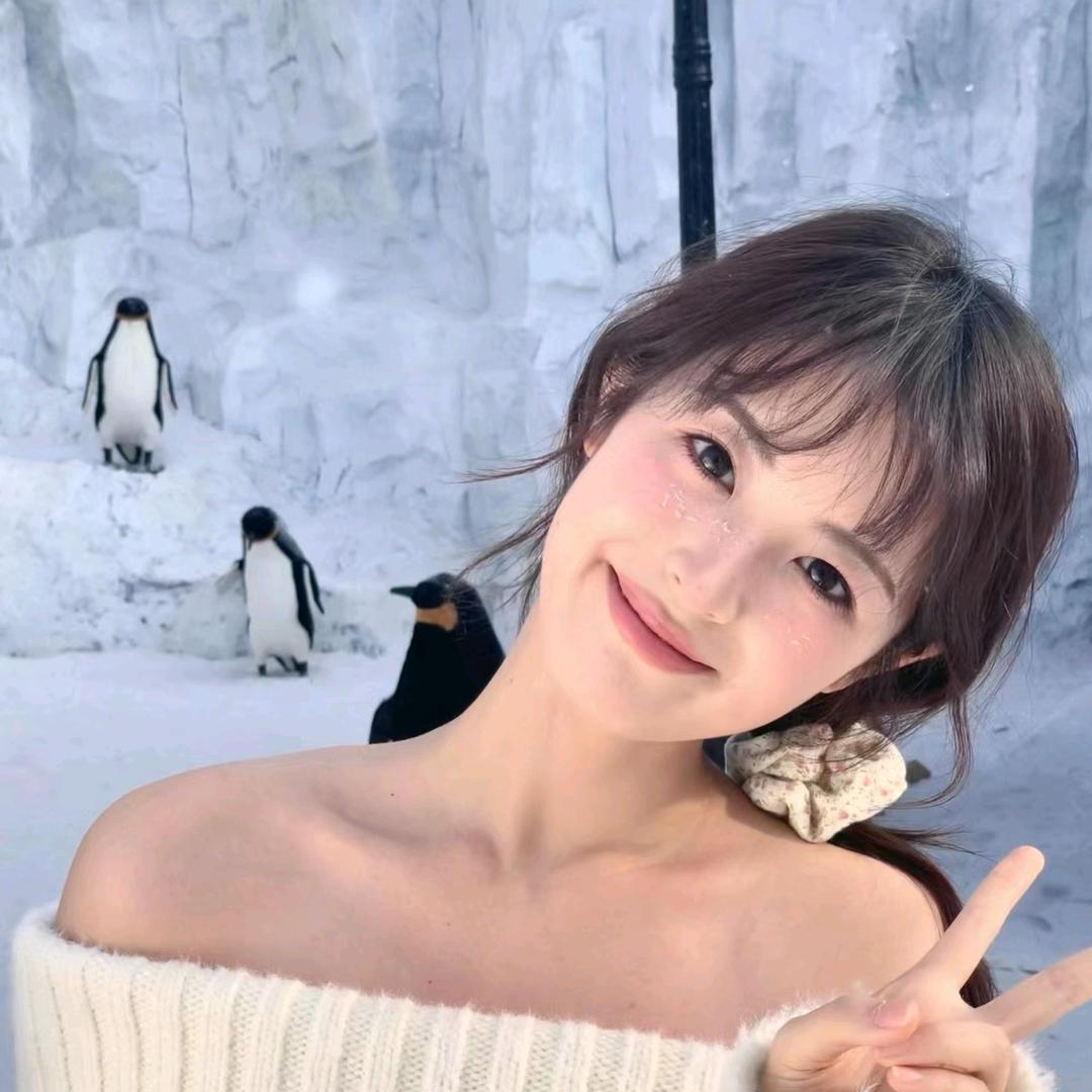 椰叶子