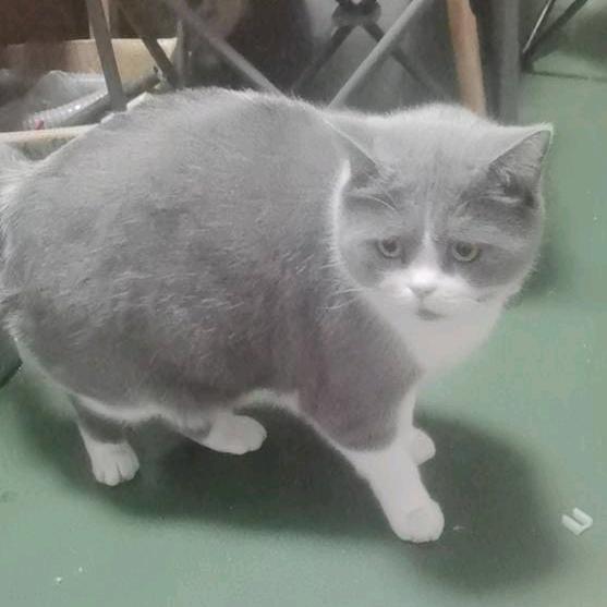 你看风景看你