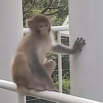 璇
