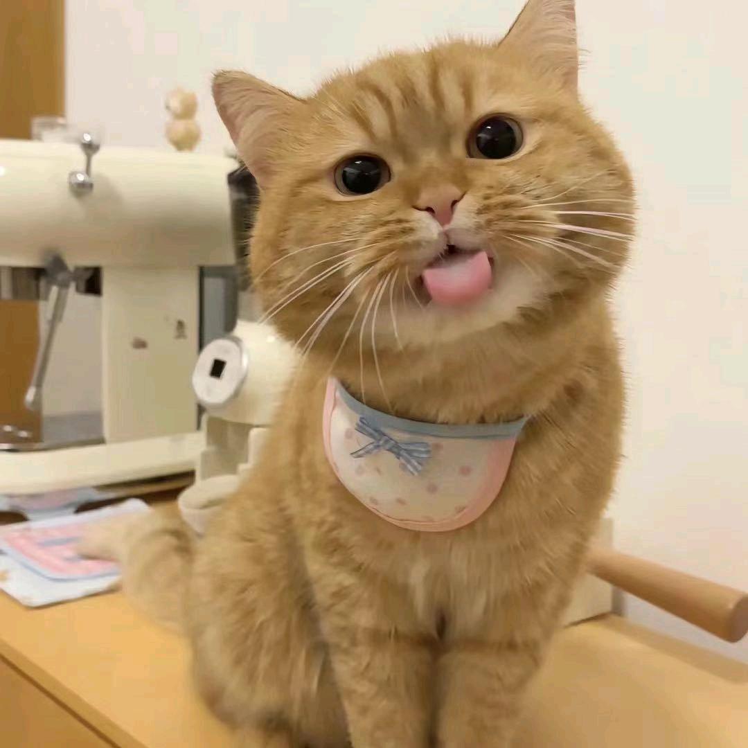 你的小可爱٩(๑^o^๑)۶