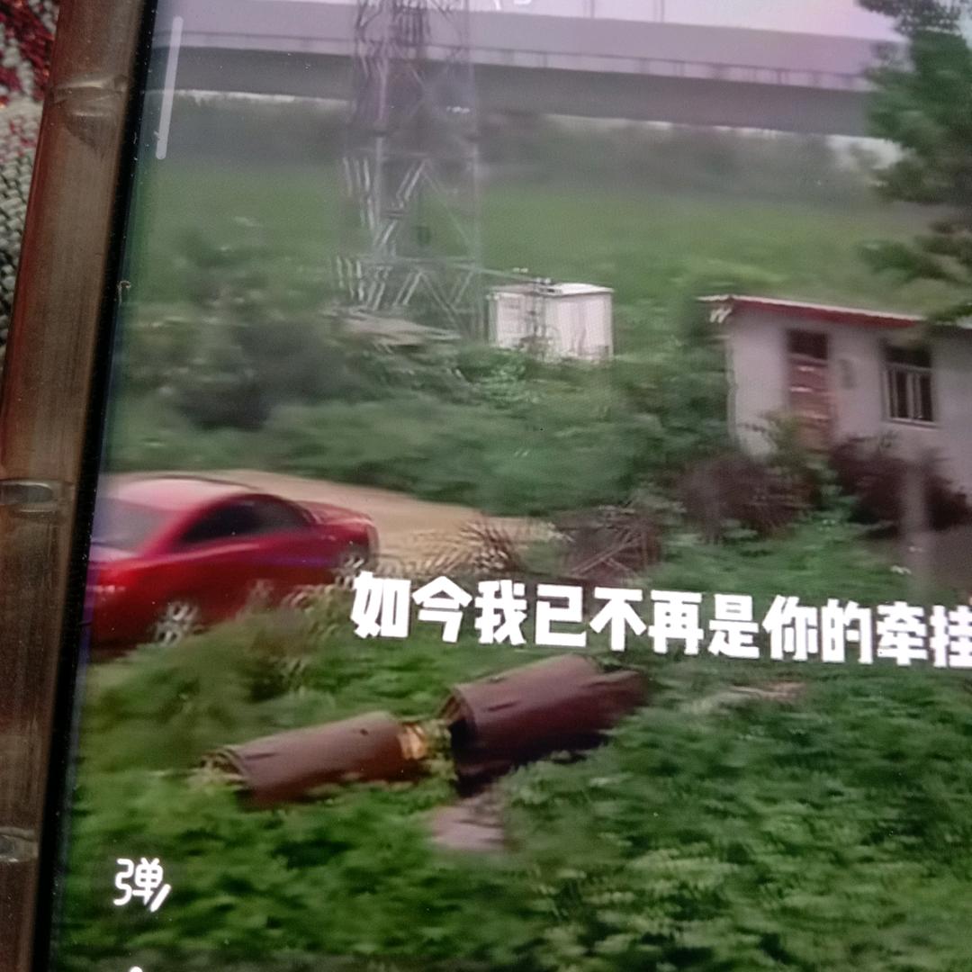 冰封记忆