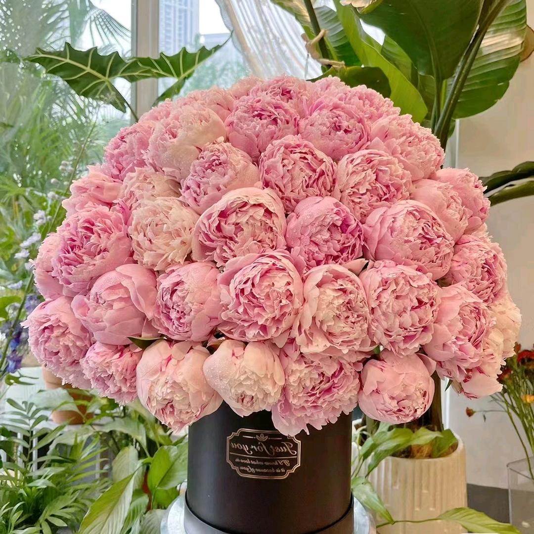 不贰花舍